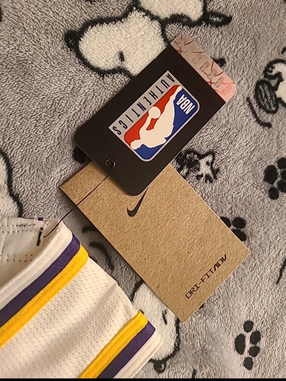 Nike NBA Authentic 